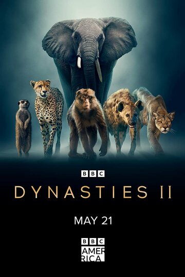 Смотреть Dynasties II (2022) онлайн в Хдрезка качестве 720p